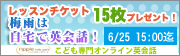 2013年6月キャンペーンs
